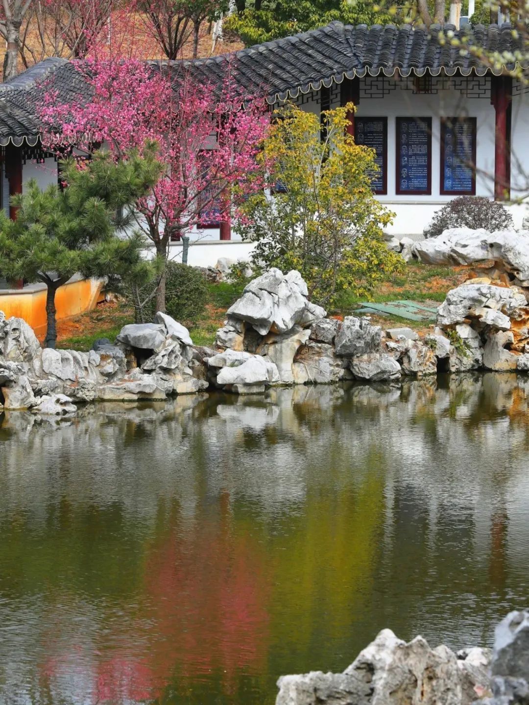 世界杯投注平台