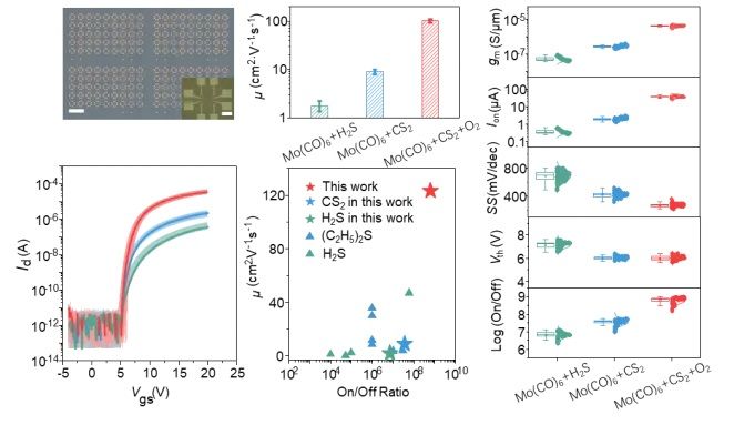 世界杯投注平台