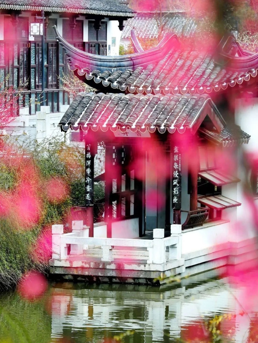 世界杯投注平台